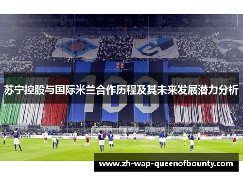 苏宁控股与国际米兰合作历程及其未来发展潜力分析