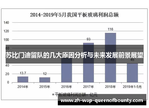 苏比门迪留队的几大原因分析与未来发展前景展望 苏比门迪留队的几大原因分析与未来发展前景展望