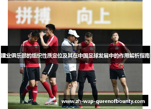 建业俱乐部的组织性质定位及其在中国足球发展中的作用解析指南