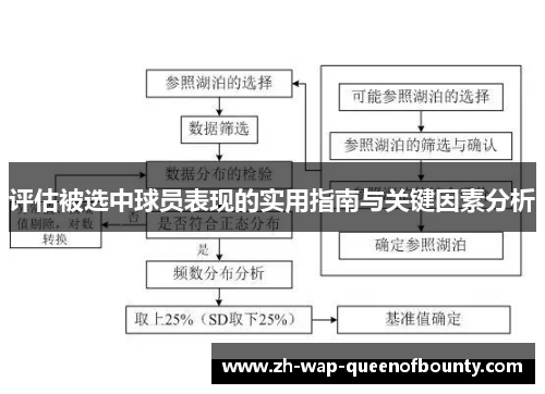 评估被选中球员表现的实用指南与关键因素分析