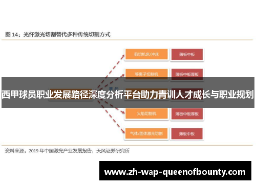 西甲球员职业发展路径深度分析平台助力青训人才成长与职业规划